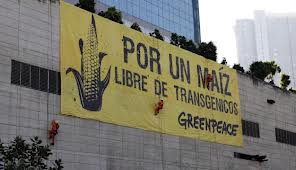 Protesta contra los transgénicos en México